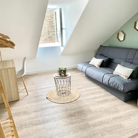 Studios Charmants Cosy A 5 Minutes Du Centre-Ville Bourges Buitenkant foto
