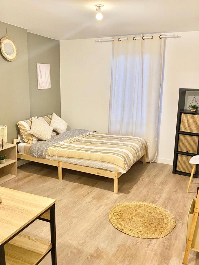 Appartement Charmants Cosy A 5 Minutes Du Centre-ville *